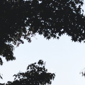 Meet your Posher, Timothy